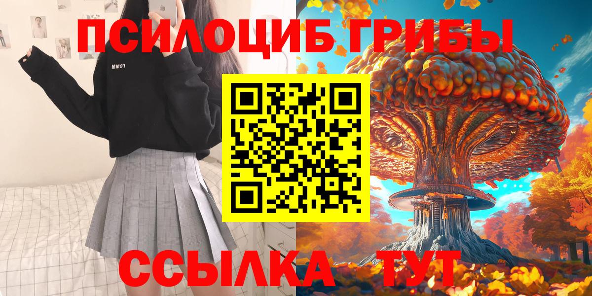 Галлюциногенные грибы Cubensis Курганинск