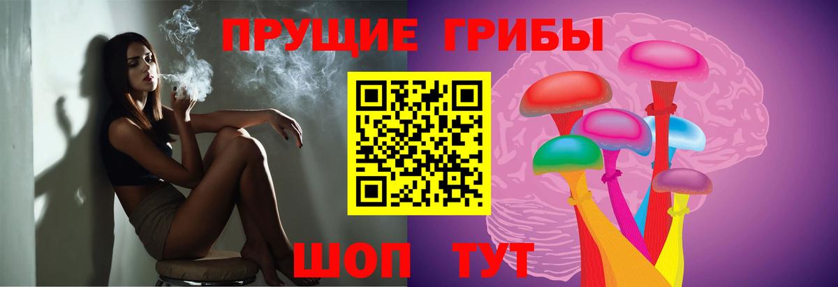 что такое наркотик  Галлюциногенные грибы GOLDEN TEACHER  Галлюциногенные грибы прущие грибы  Вход с VPN  Курганинск 